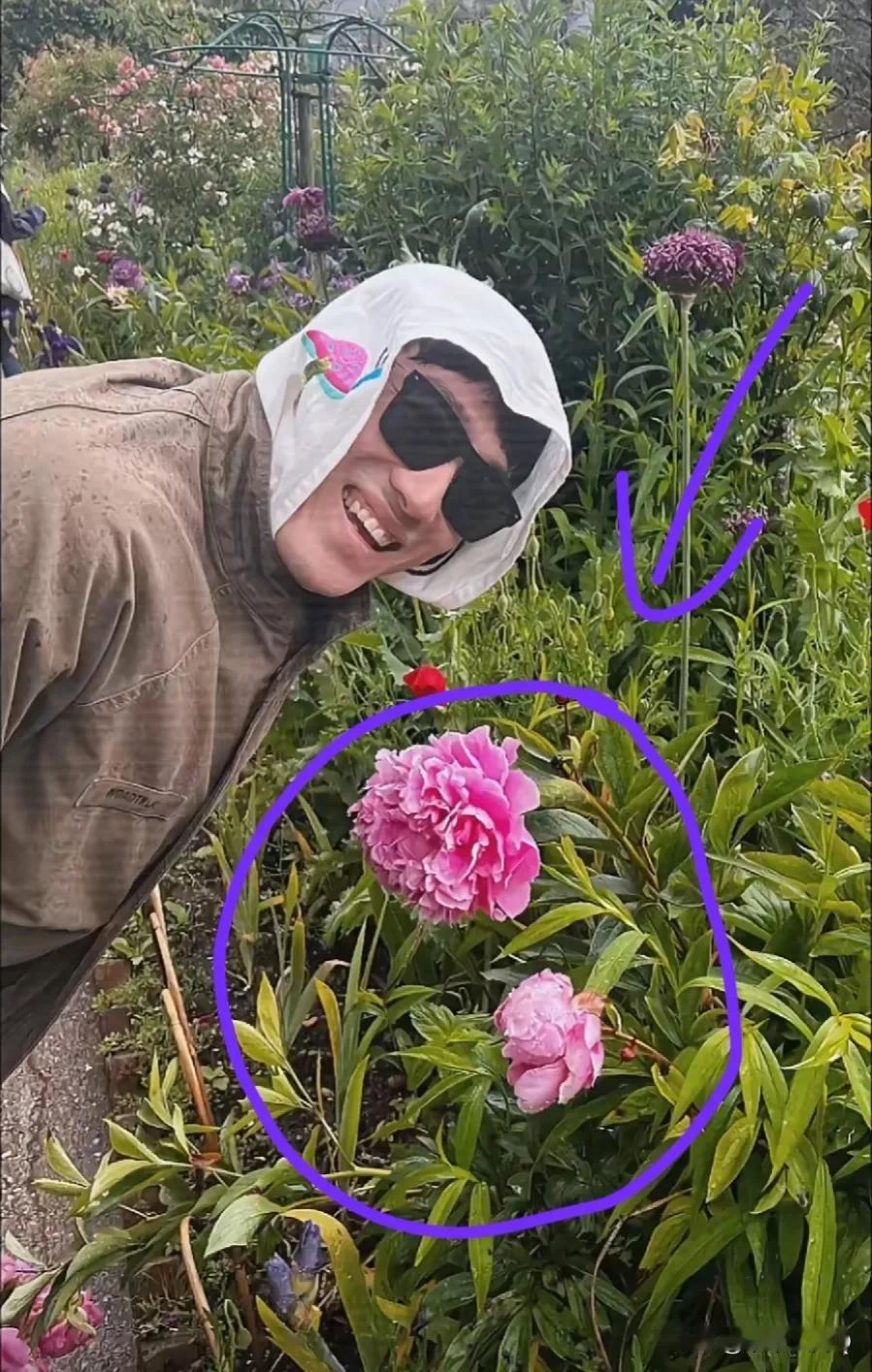 刘翔到访法国的著名经典，莫奈的花园，和一种神秘的花合影！这是什么花有人知道吗？很