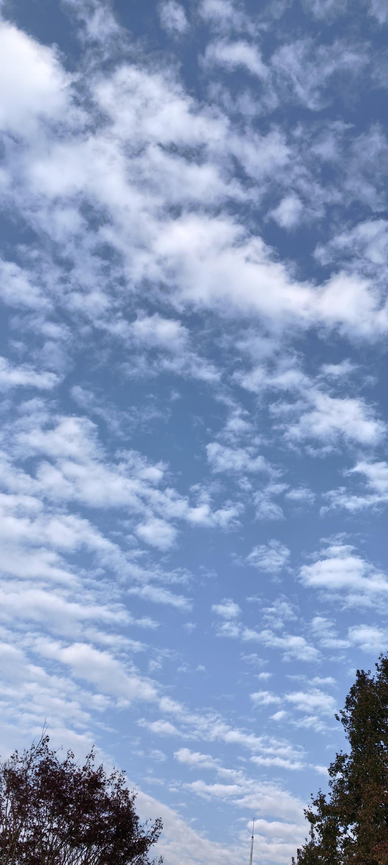 不会！
工作为了什么？赚钱！
有钱了，为什么还要工作？
不过，不缺钱的标准是什么