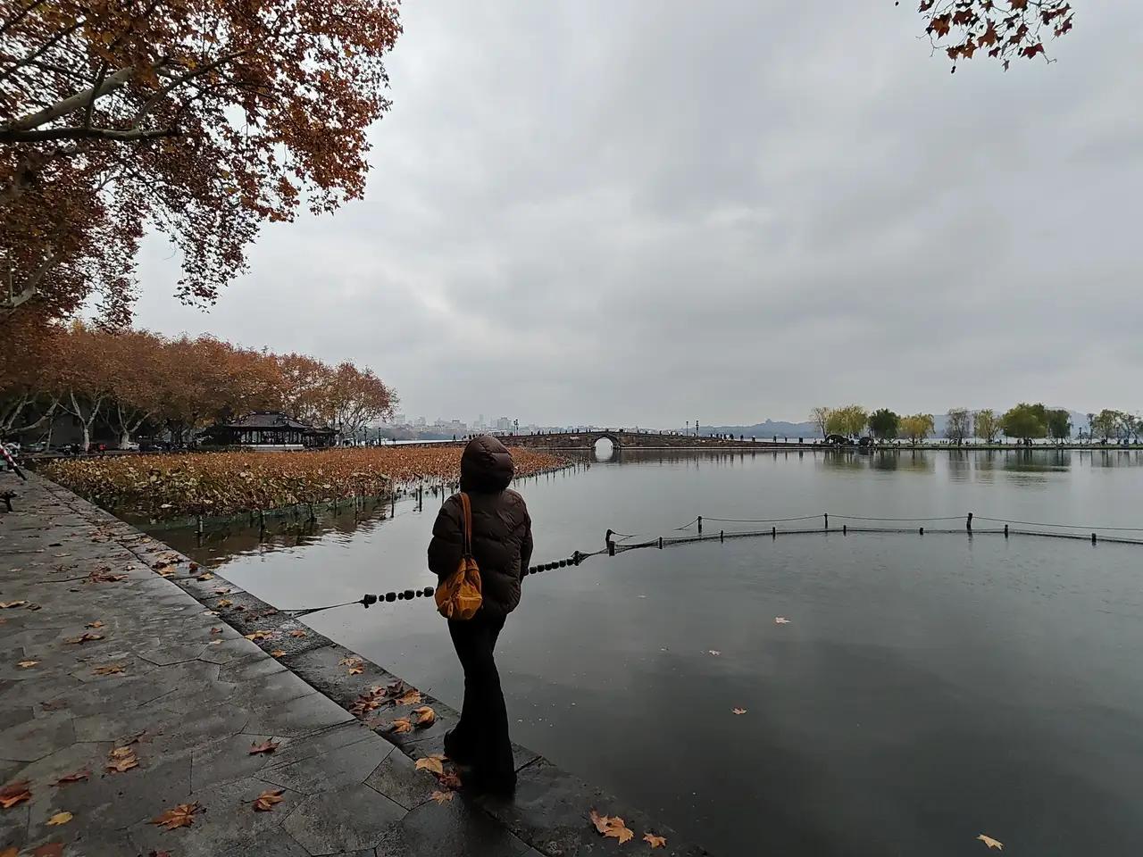 杭州终于下雪了，真是千年等一回呀，不过今天又开始下雨了，气温还不是太低，最低零°