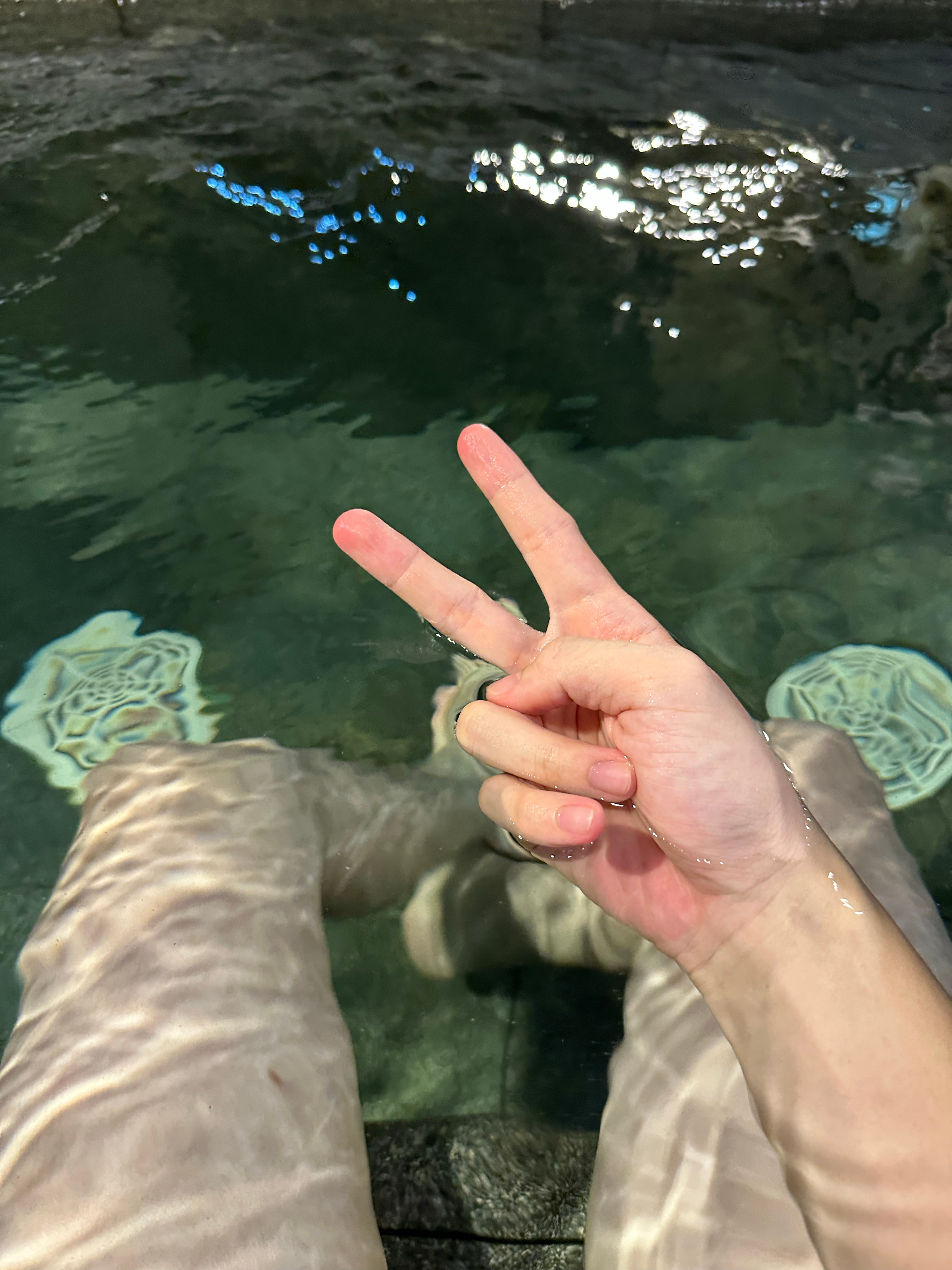 明天停更一天[二哈]出去玩浆板 ​​​