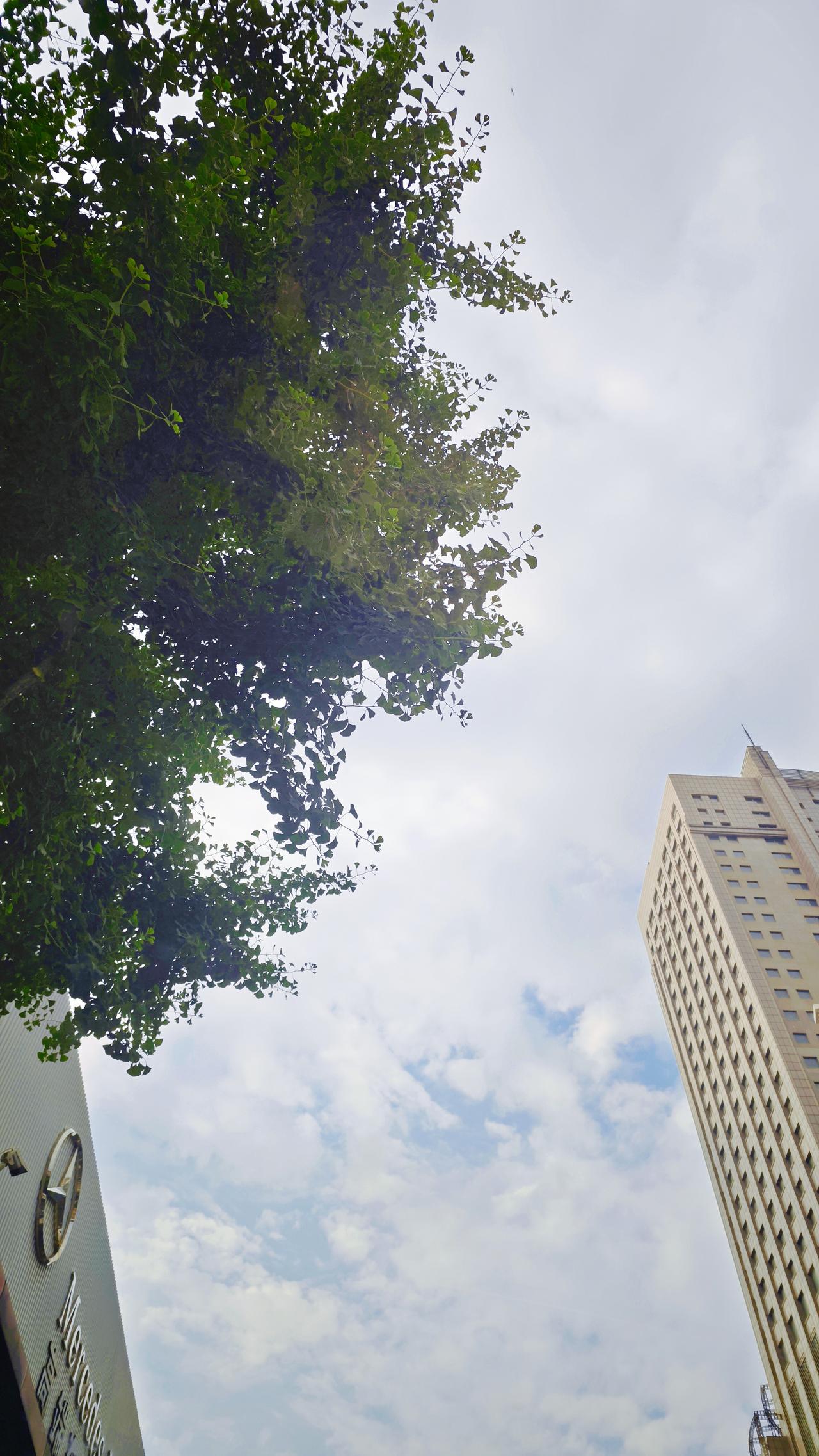 6月29日 周一🧮总结：学校作业27分钟；家庭学习内容77分钟；追剧+动漫等8