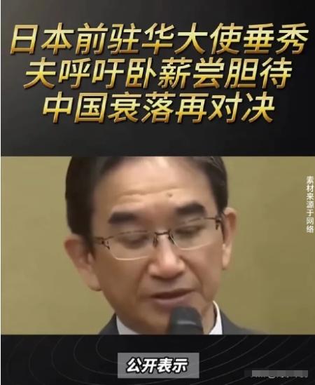 对今天中国的崛起，日本人是怎么想的？
 
日本前驻华大使垂秀夫最近在公开场合聊到