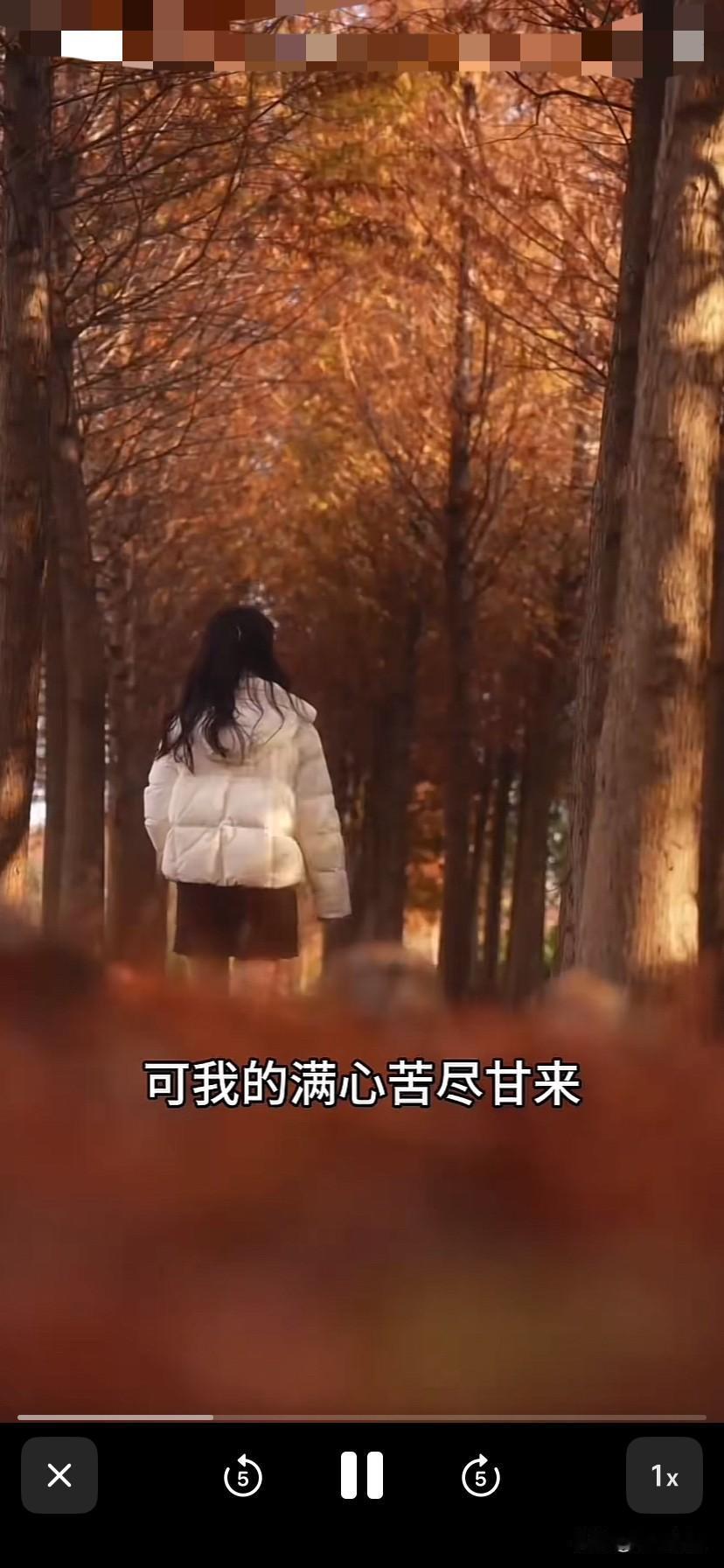 林丽好像请了专业团队拍摄！每张照片都很唯美，可是看着这些照片，视频，林丽都很落寞