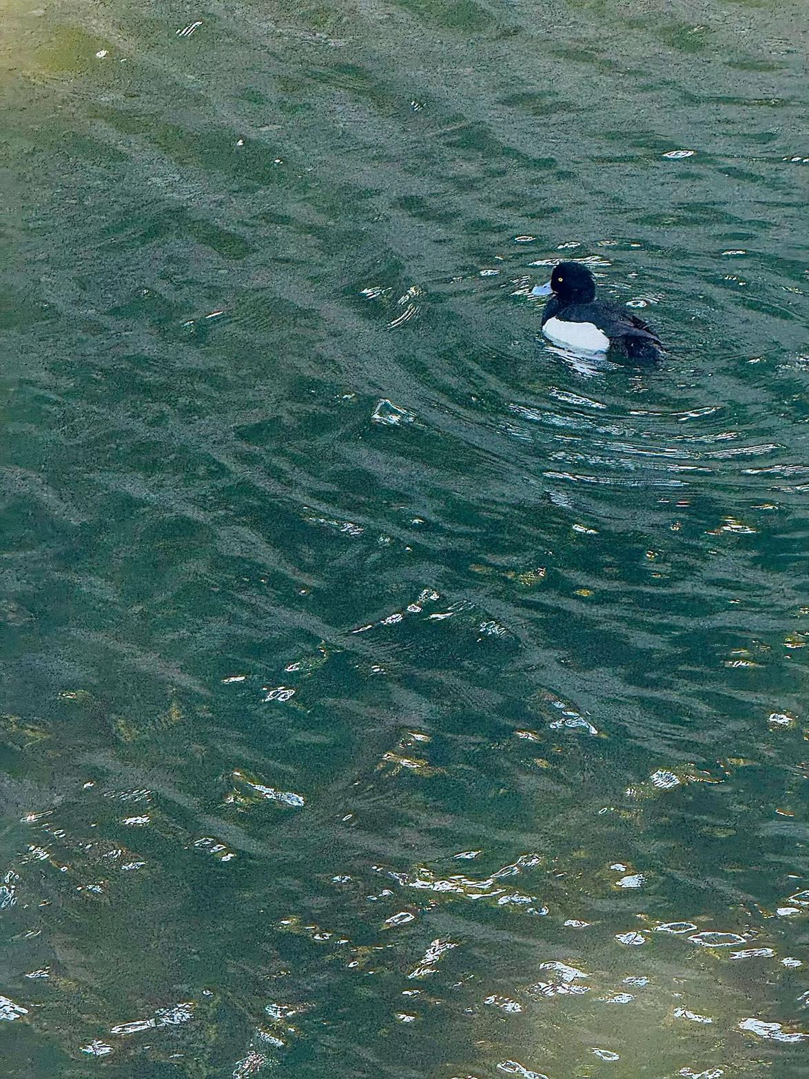 我的今日状态：😁轻松愉快
我这里的天气：☀️晴天