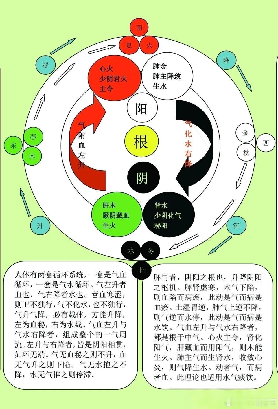 升降浮沉阴阳之间，是为中气。中气者，阴阳升降之枢轴也。枢轴旋转，清阳半升于左，则