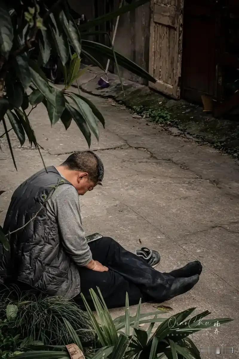 人如劳犬世中行，破晓离巢暮返营。
寒雨频侵身未却，骄阳似火步难停。
为求饱腹甘流