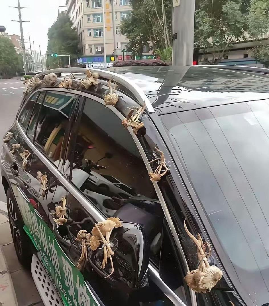 这是什么习俗？ ​​​