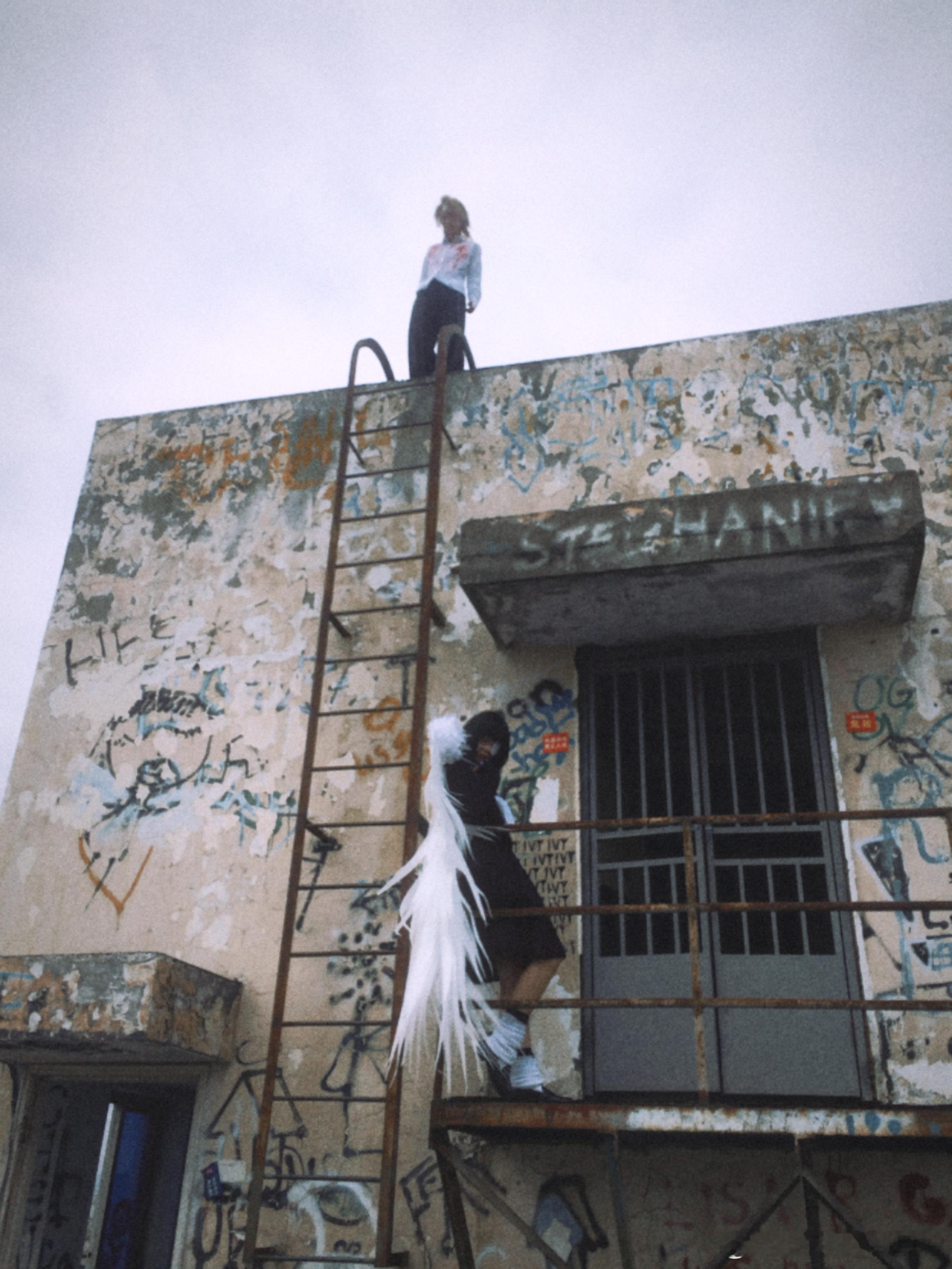 世界第一初恋PHX：🍏苹果夢樹🌳 ​​​