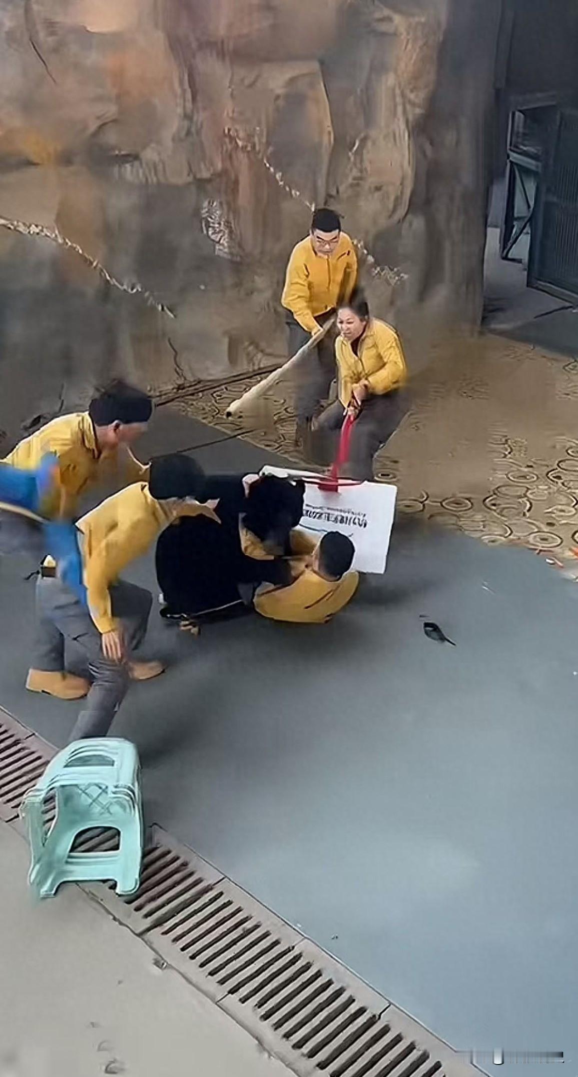 杭州一动物园黑熊扑倒饲养员，园方：黑熊贪吃，想抢其口袋里的食物，已妥善处理。[嘘