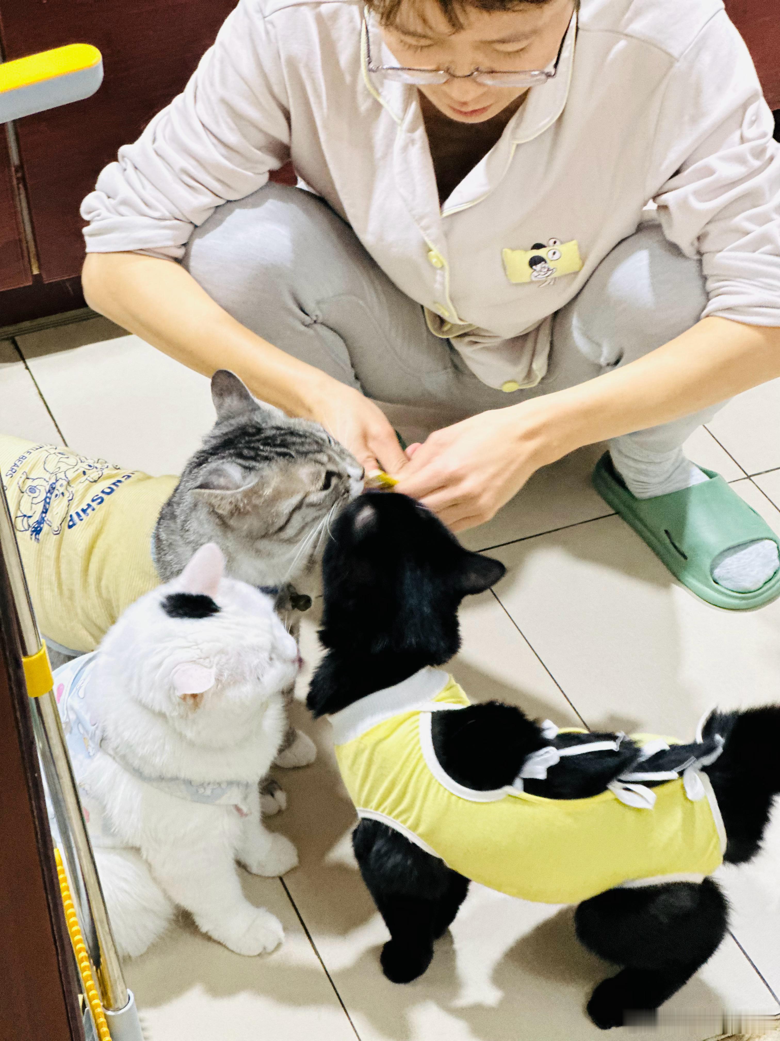 比起承诺，势均力敌的制衡，才更可靠。 