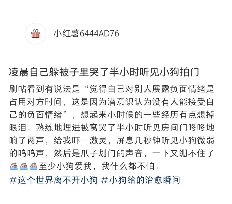 凌晨躲被子里哭时听见小狗拍门 