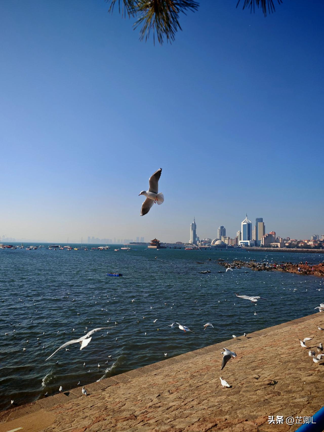 唐山街头暖心“差价”：大爷卖菜算错账，顾客们纷纷折返补钱。

近日，河北唐山，邵