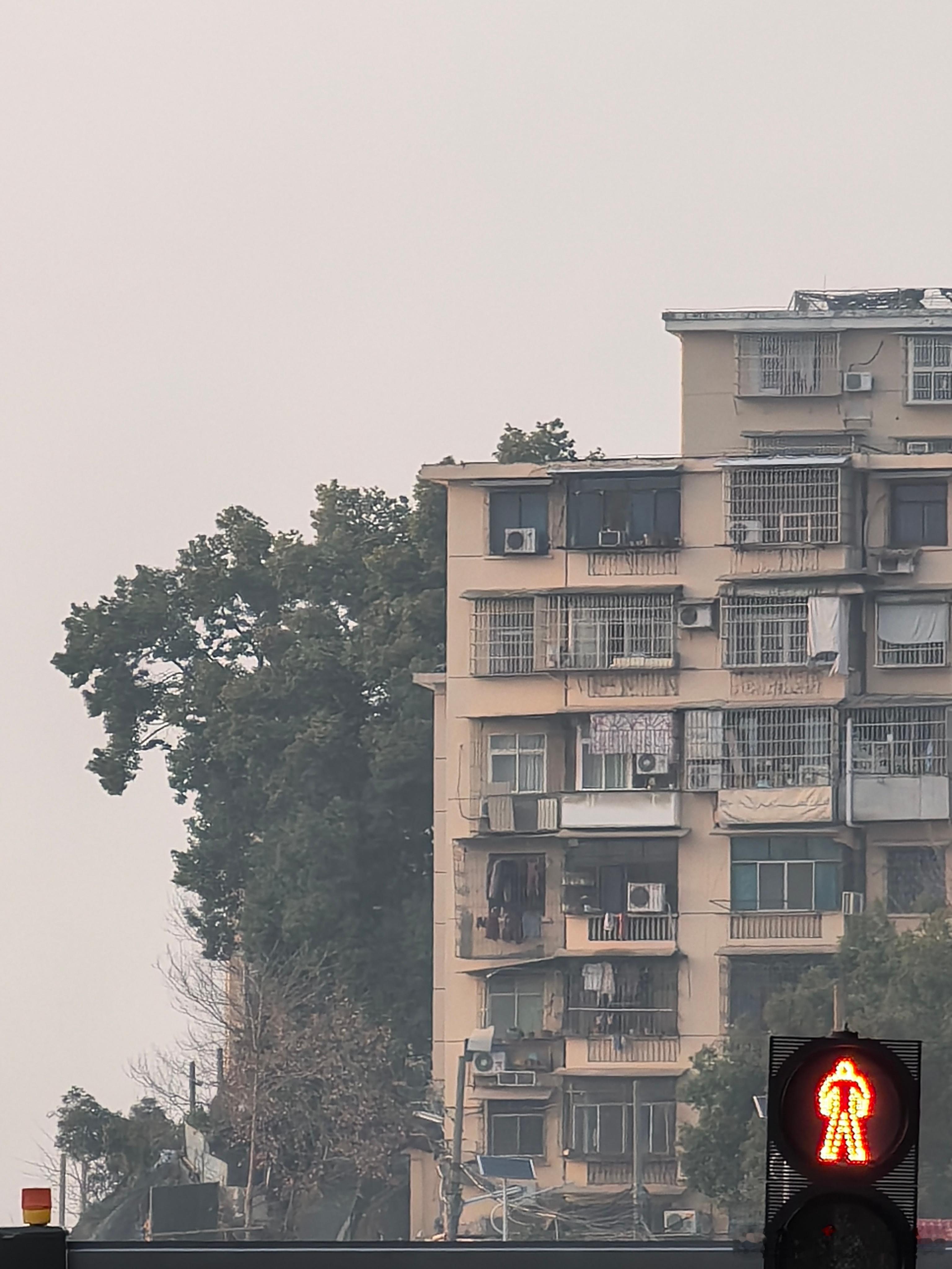 带小梁回到当年住过的铁路小区，我问他，这样的房子 ，还愿意住吗小梁沉默了很久说和