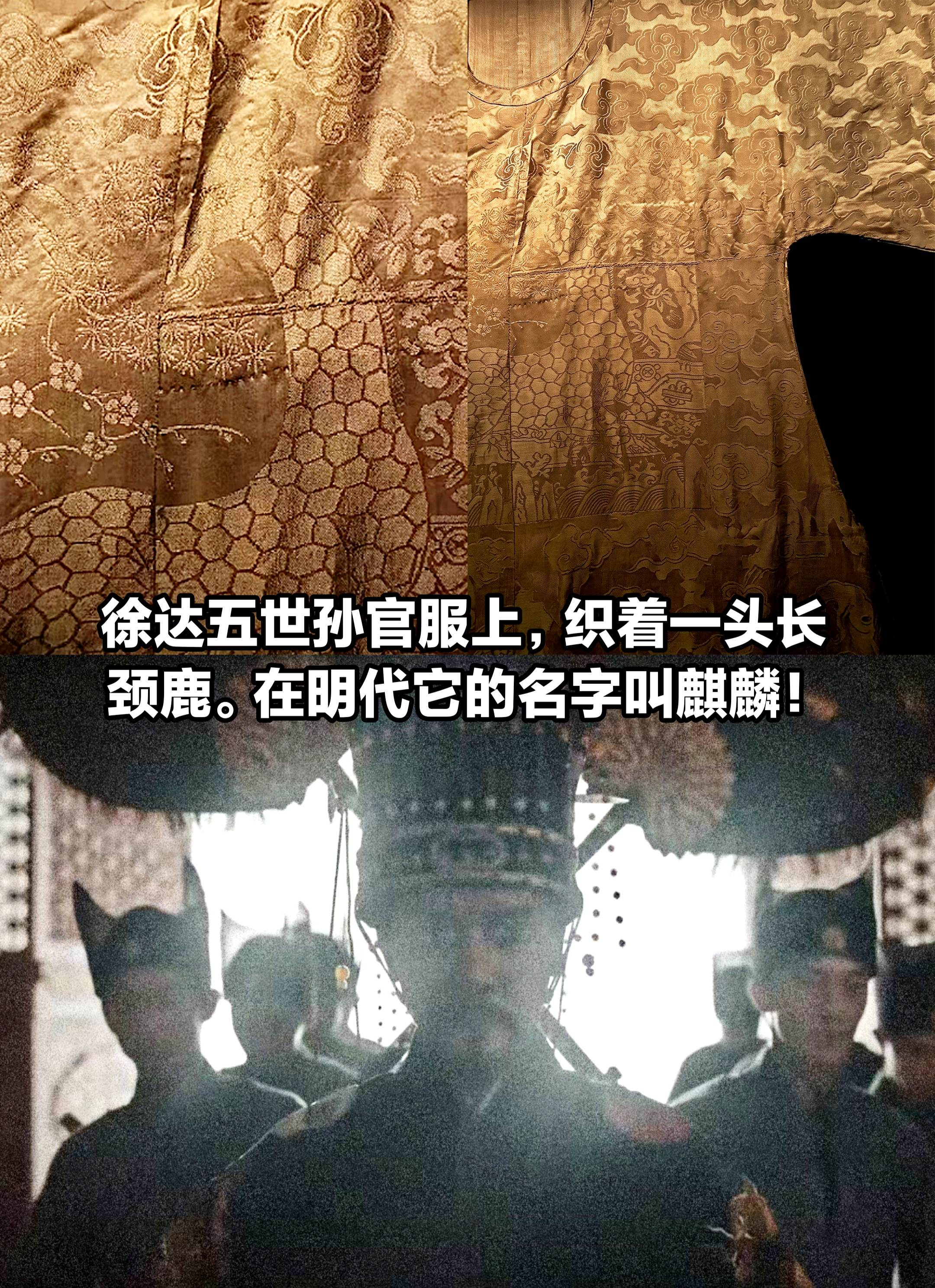 在明代，长颈鹿竟被称作为“麒麟”
