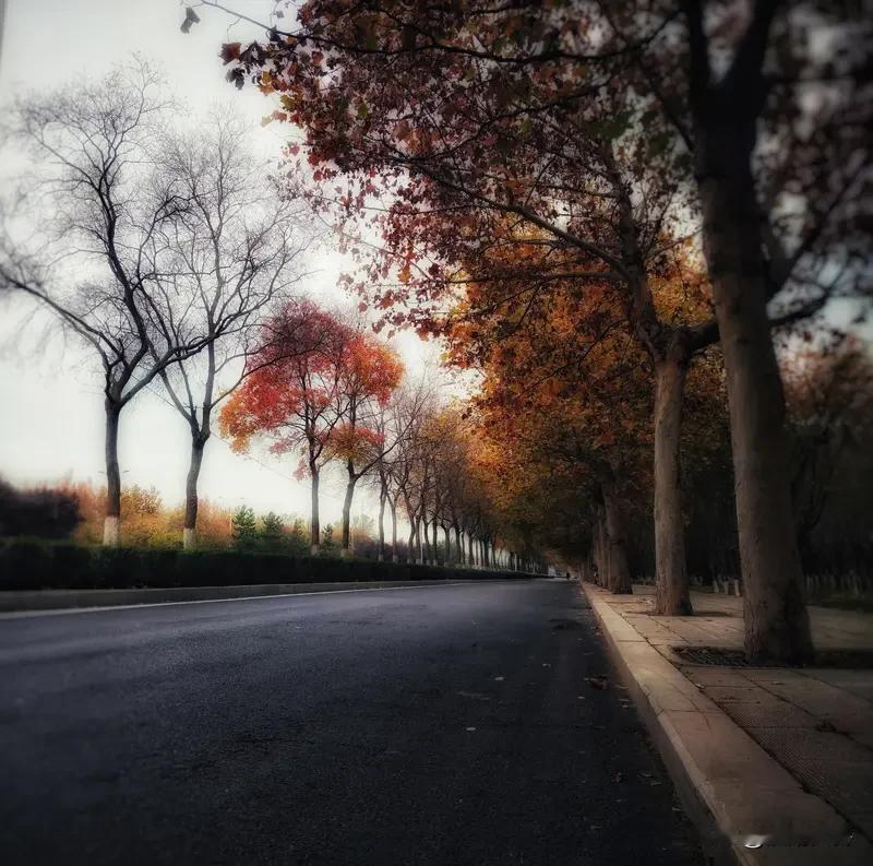 亲戚间长期不走动还会亲吗?
长期不走动的亲戚，
偶尔在哪里撞上了，或者有什么事需