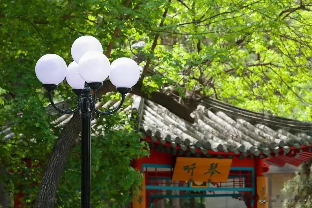 有几个人跟我一样，十次吃饭有九次都会把油渍弄在衣服上的？尤其是出门要住一晚上，还