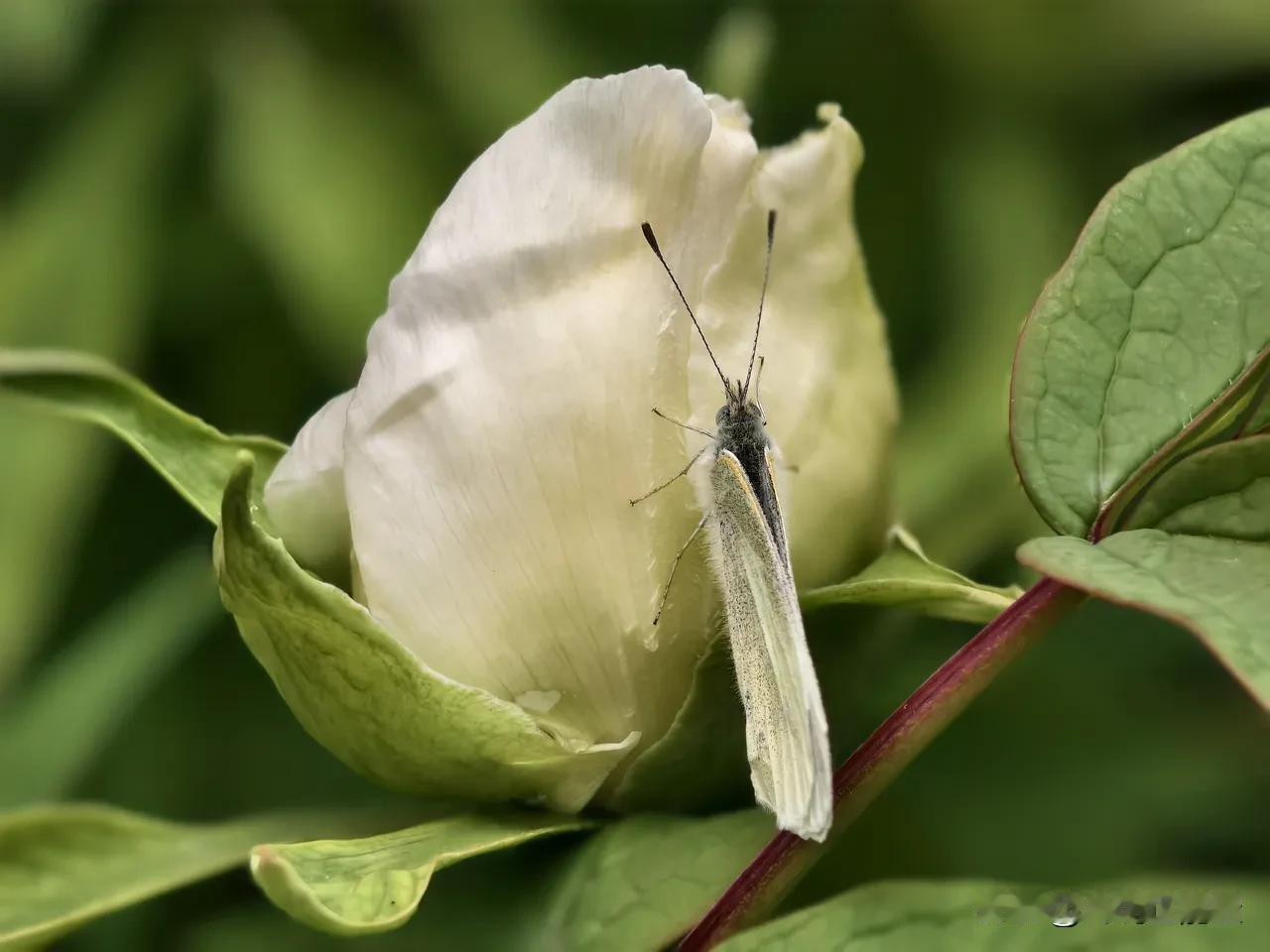 别污名化欲望！性学专家这句话戳破真相：性欲强，其实是对生命最高级的敬畏
 
性学