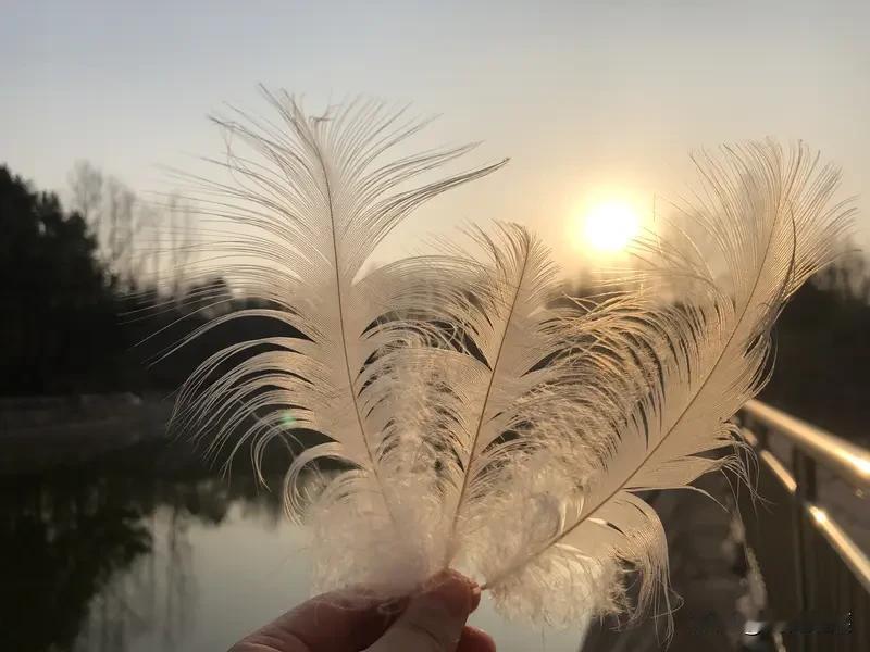 你的名字会随户口变迁，身体会衰朽，记忆会模糊。连最亲密的爱人也可能中途离场。
