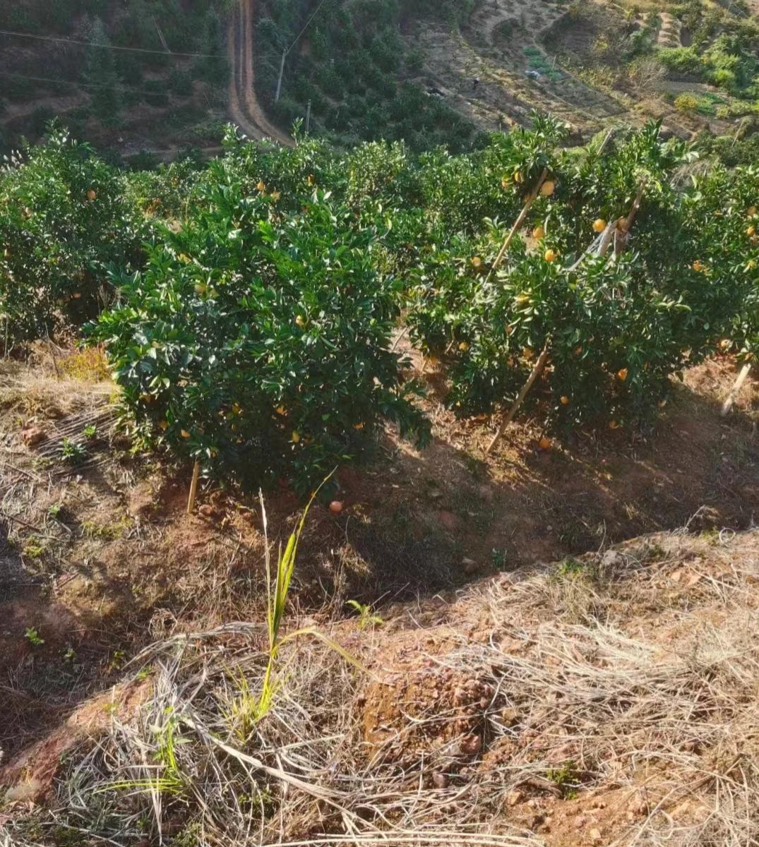 人生就像一场马拉松，我们每个人都是参赛者。

在这场马拉松中，有人跑得快，有人跑