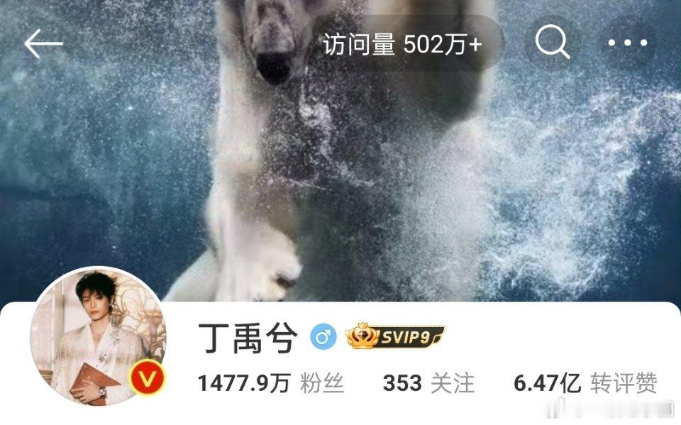 丁禹兮 也没播剧啊，主页访问量轻松就破500万了！中餐厅真的是有效露脸，弘扬传统