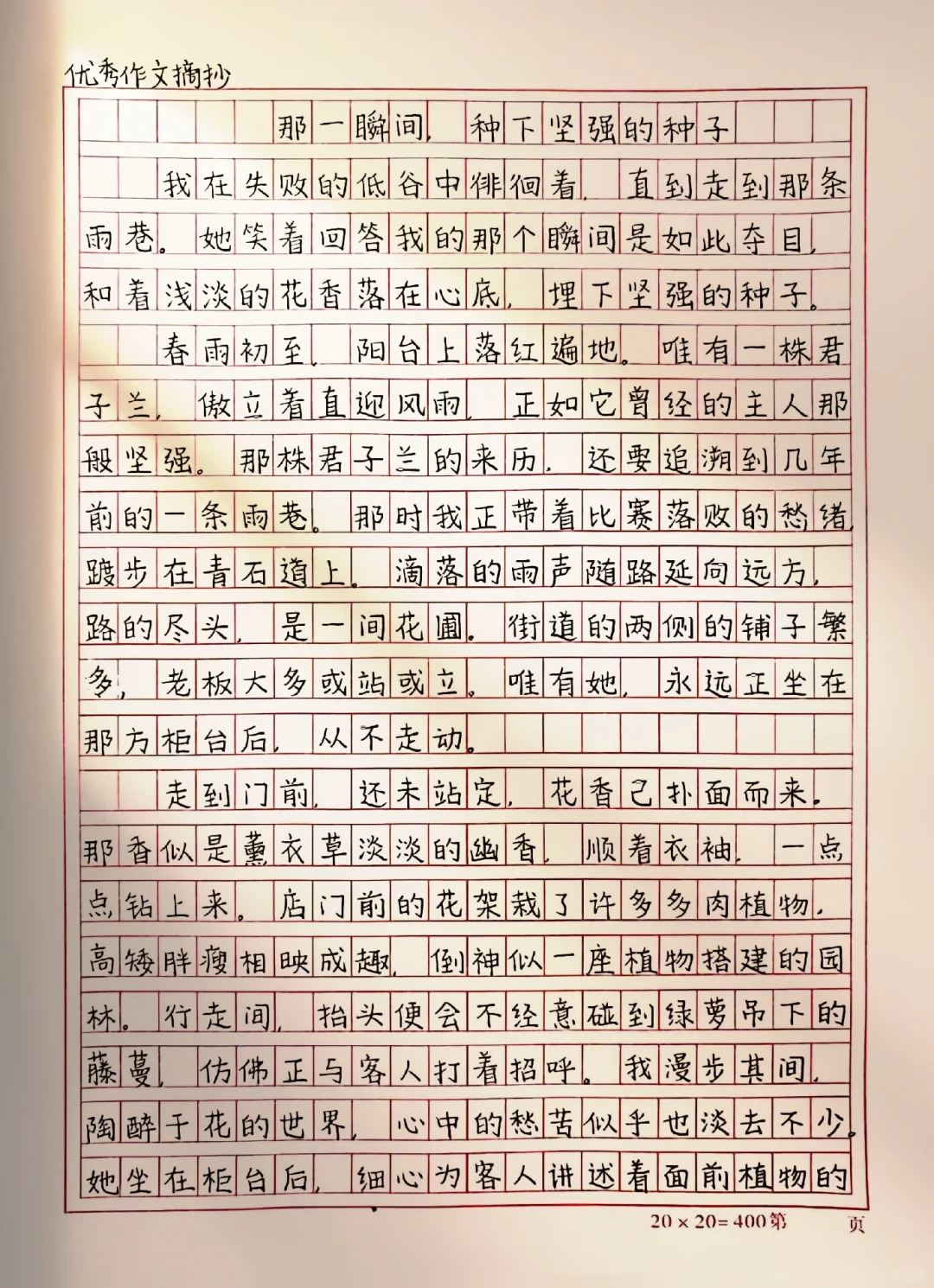 作文《那一瞬间，种下坚强的种子》