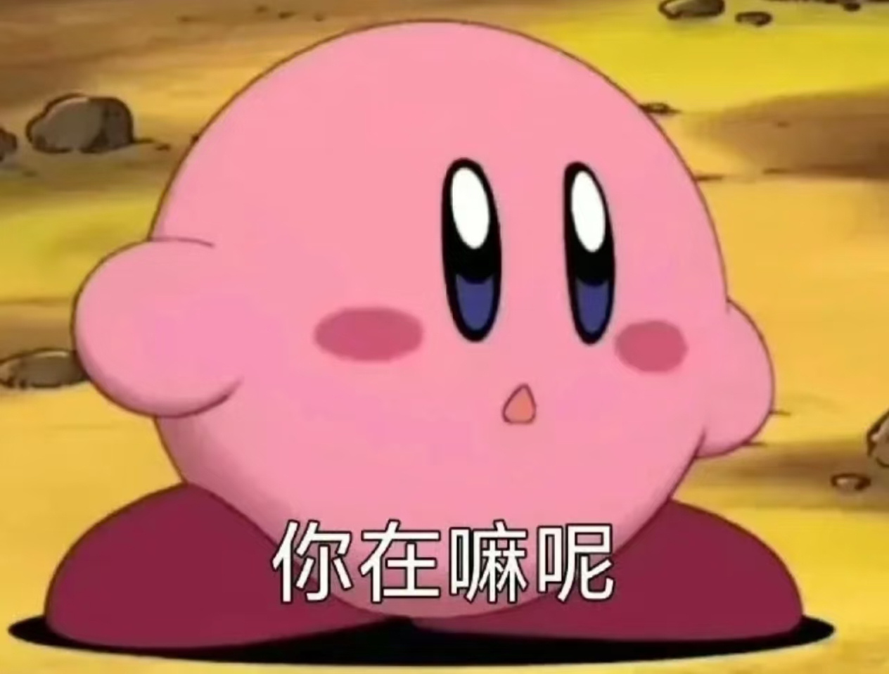 【🦔叨叨乐】中午好宝宝们！大家都放暑假了吗