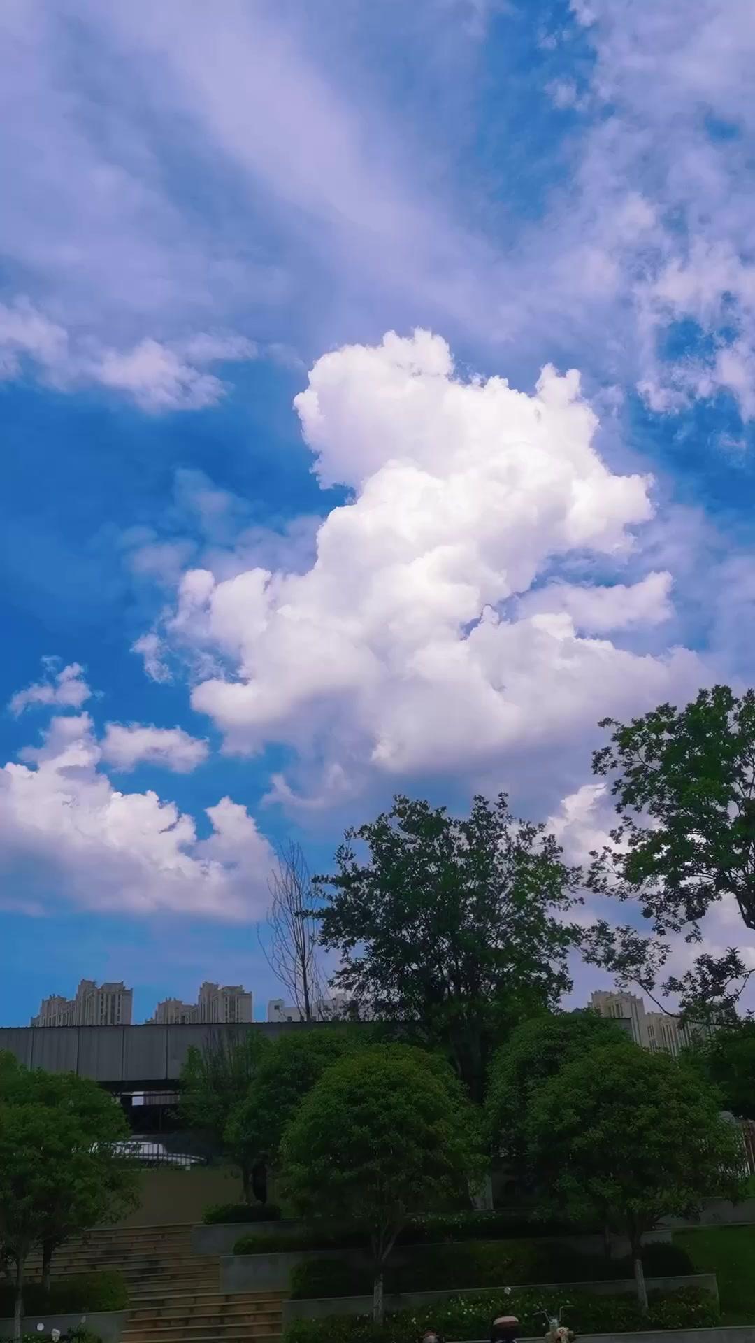 🌤️抬头看见蓝天白云，风里都带着阳光的味道，随手一拍都是壁纸感，心情瞬间被治愈