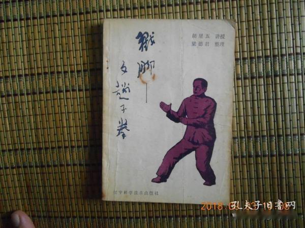 刚劲奇妙的文趟子拳竟是源自河北饶阳
        文趟子是由被武林誉为“奉天三