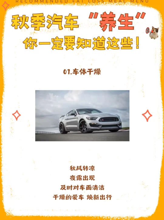 秋季汽车