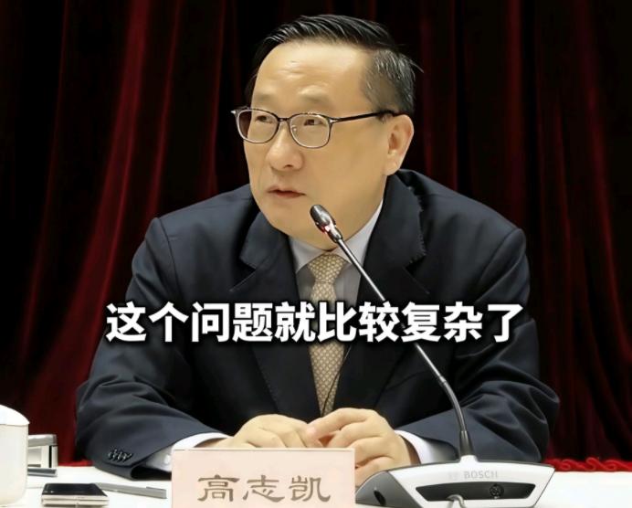 高志凯这回捅了马蜂窝。

他公开建议英伟达在华销售AI芯片时，需预缴15%收入作