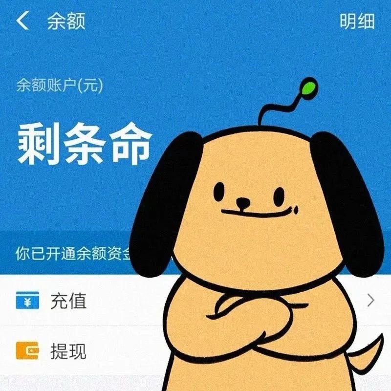 𝓐𝓭𝓾𝓵𝓽☔“成年人没有避风港，余额就是安全感” ​​​