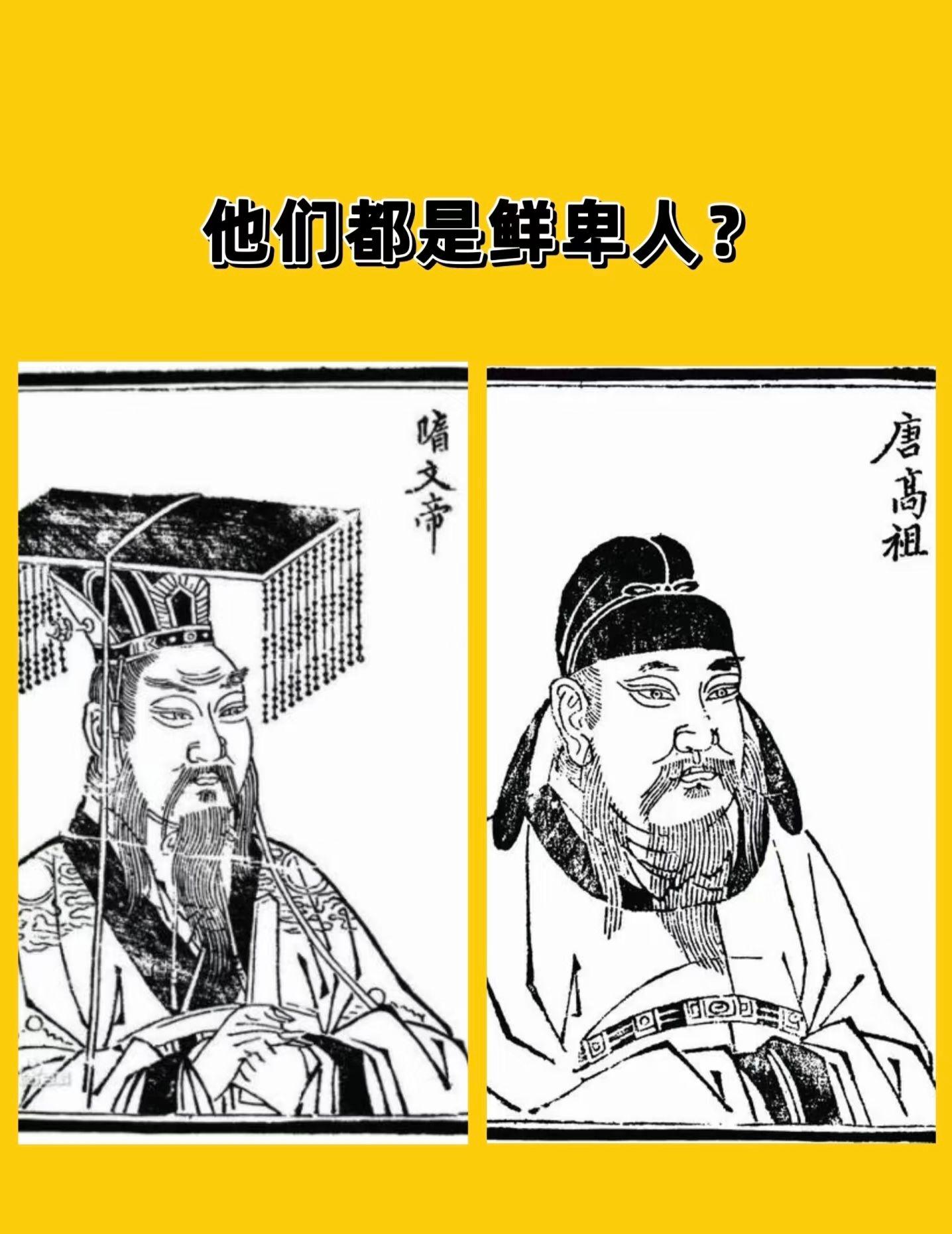 互联网上一直有这种观点。认为隋唐是鲜卑人建立的朝代，不是汉人王朝。 这...