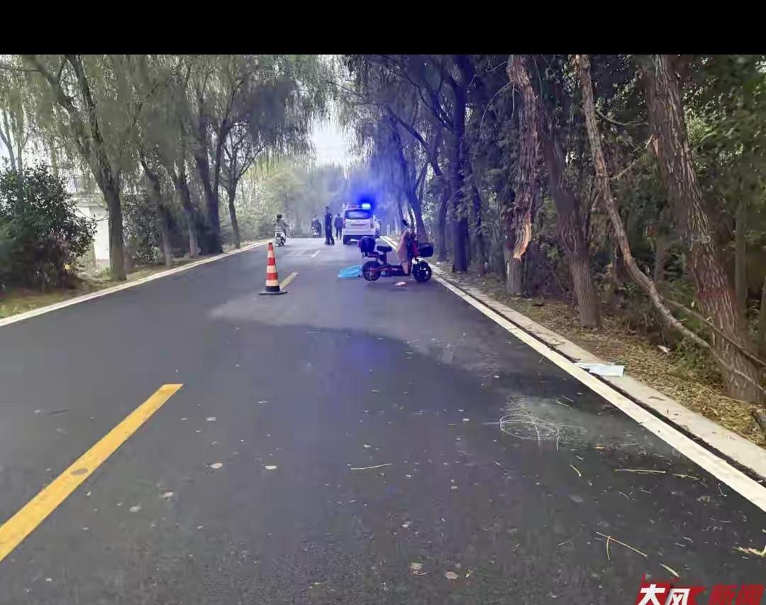 女教师骑电动车“撞树枝”身亡？这起事故的疑点多到让人头皮发麻！
 
56岁老师上