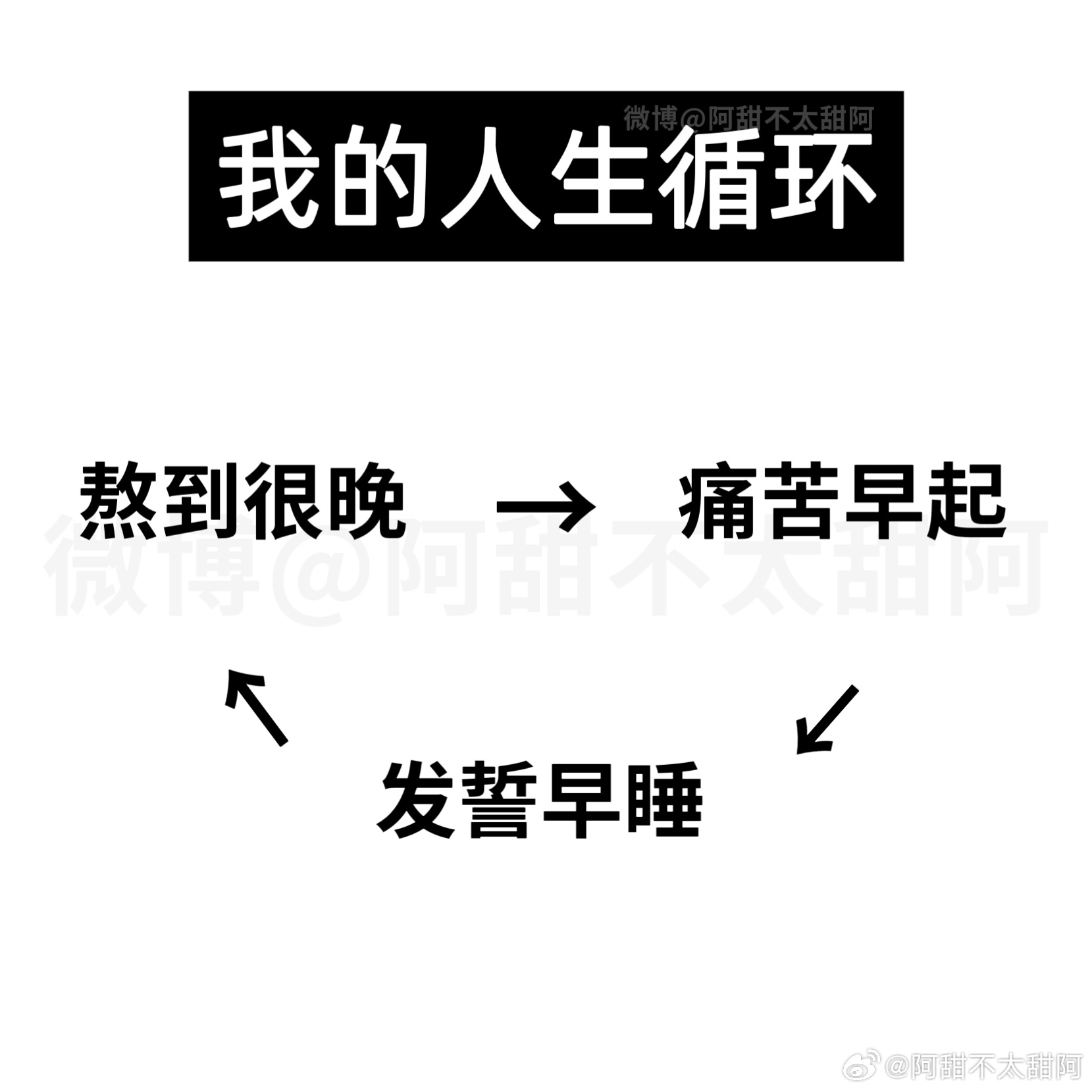 我的人生循环： 