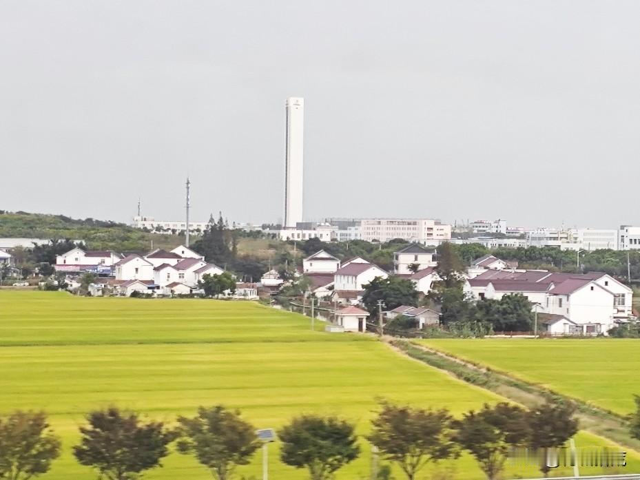 上海虹桥搭高铁去苏州，金黄色的稻田，田边几间江苏老民居，想起了这枚面值4分《中国