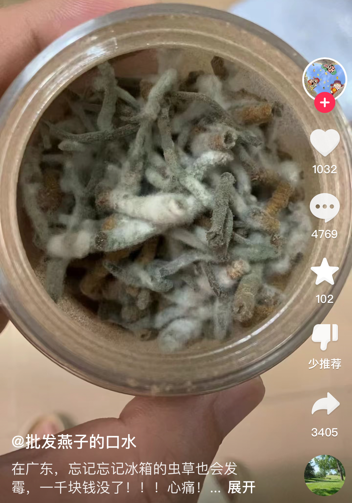 广东人家里万物皆可霉 ​​​