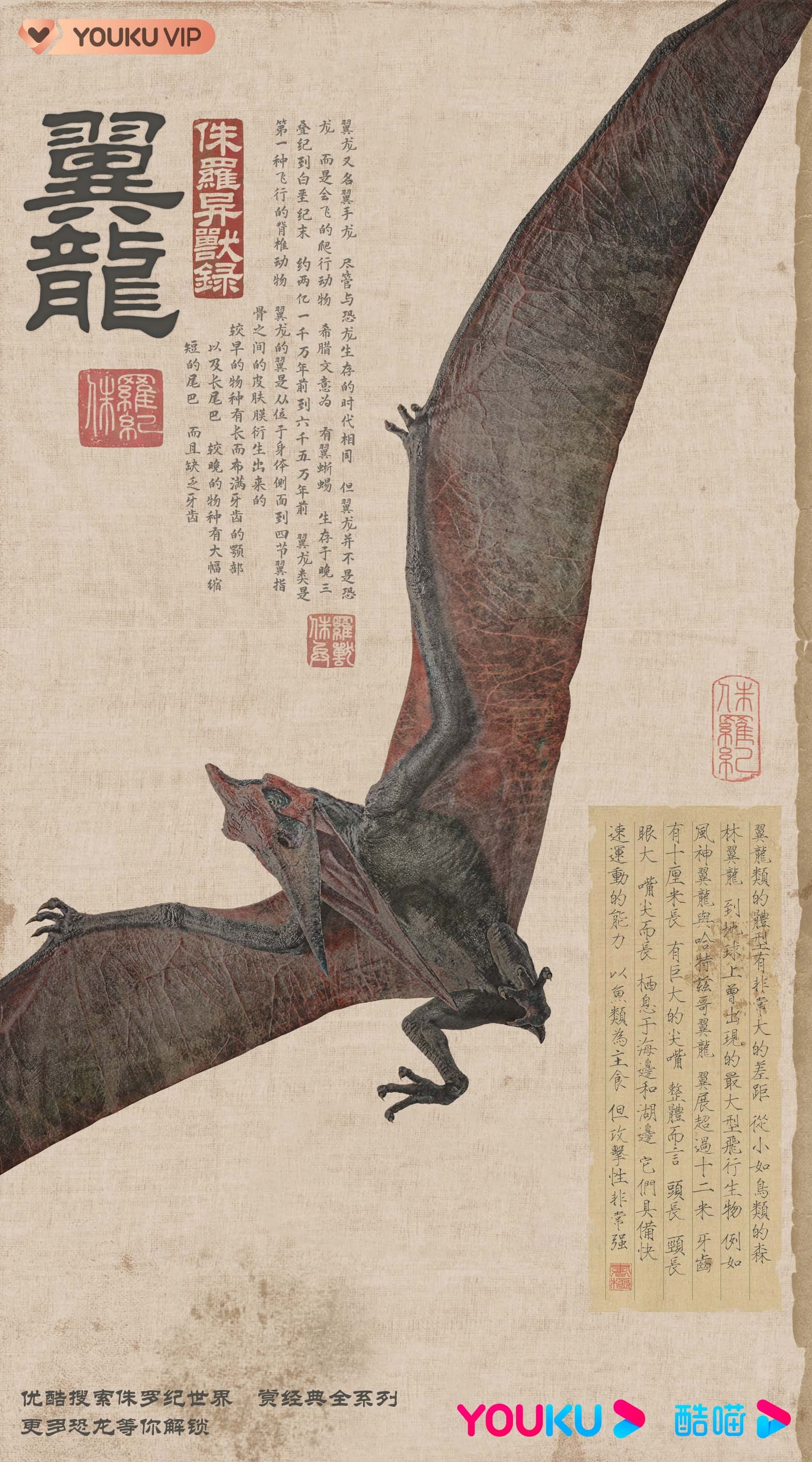 2018年看完《侏罗纪世界2》后，就很是期待《侏罗纪世界3》的出现，毕竟侏罗纪这
