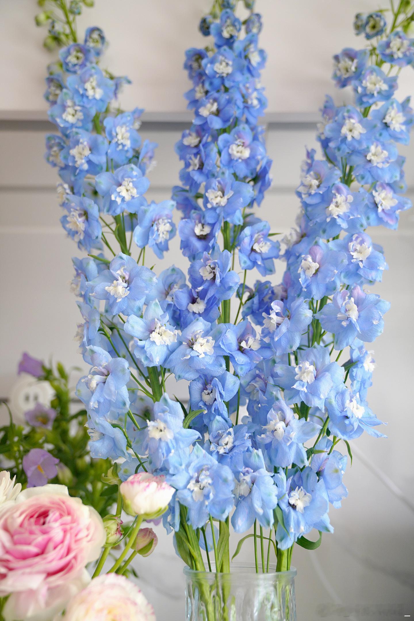 收到了好多鲜花和朋友们的祝福~好幸福