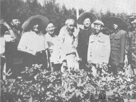 一九六三年，陶峙岳(左四)等陪同胡志明主席(左五)参观石河子垦区。