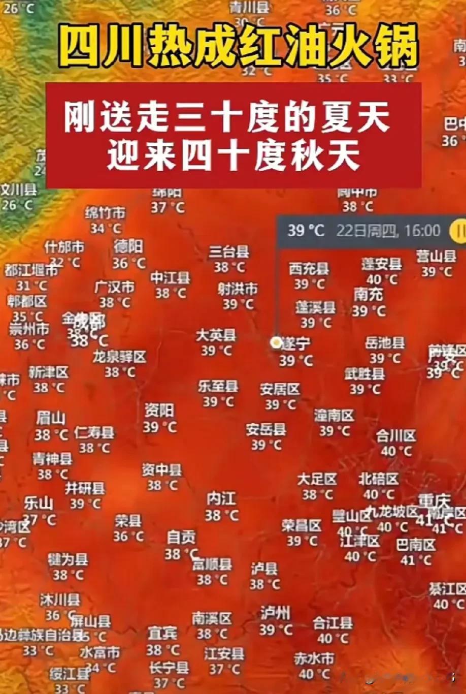 哎哟这四川的天气啊，简直热得连猫都成热狗了！我和我家猫只能整天躲在空调房里，一出