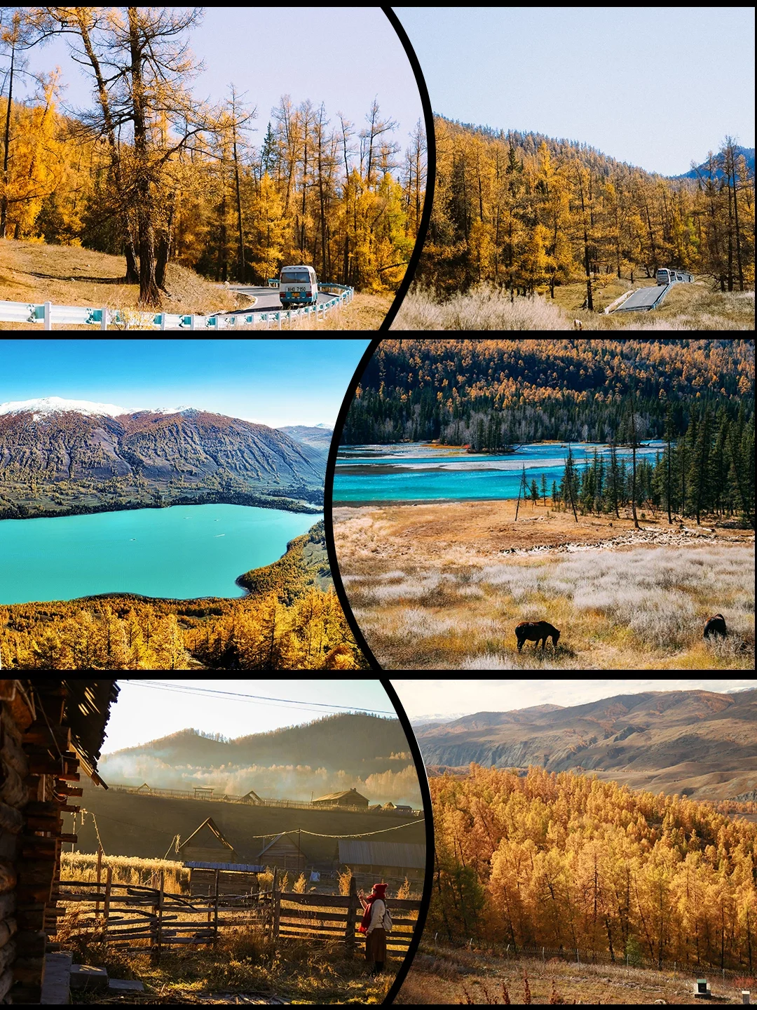 早鸟价❗️9-10🈷️金秋阿勒泰7日游升级上线🍁