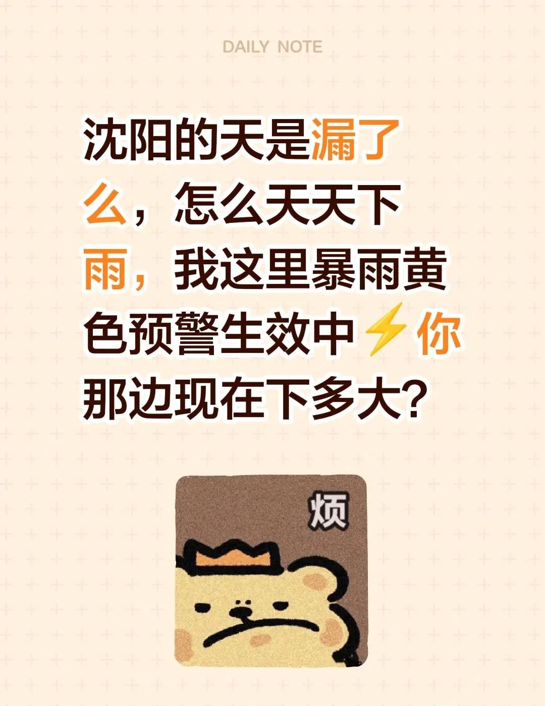 沈阳的天是漏了么，怎么天天下雨，我这里暴雨黄色预警生效中⚡你那边现在下多大？沈阳