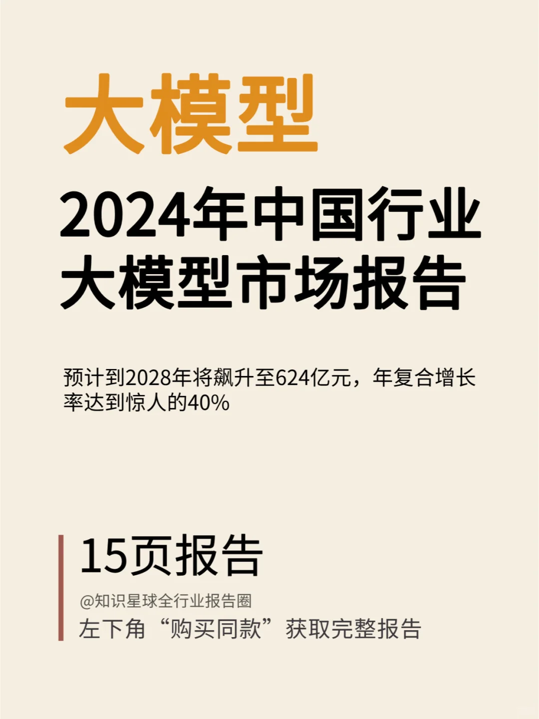 2024年中国行业大模型市场报告