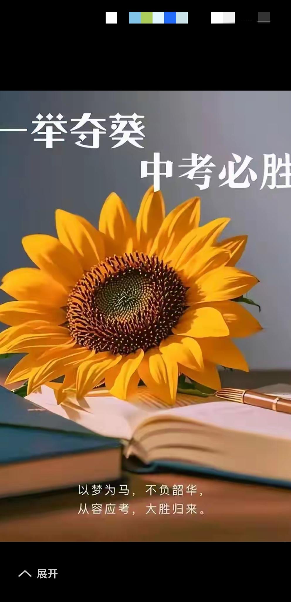 [心]中考[心]
九载寒窗今朝绽，
心平气和效更佳。
笔下生花登金榜，
……
邀