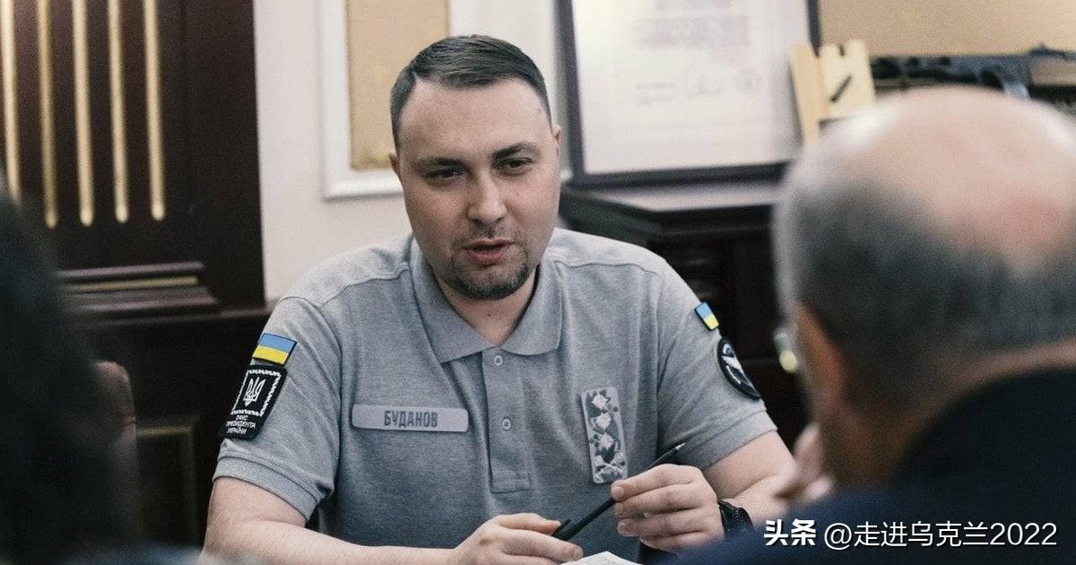 300亿美元未释放潜力：布达诺夫揭秘乌克兰自研武器的独特优势


内容：


1