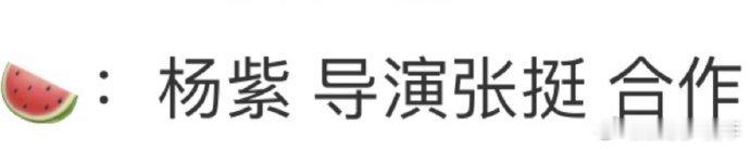张挺，业内知名编剧兼导演，佳作频出。网传其或与杨紫合作，古装剧《锦绣芳华》第二季