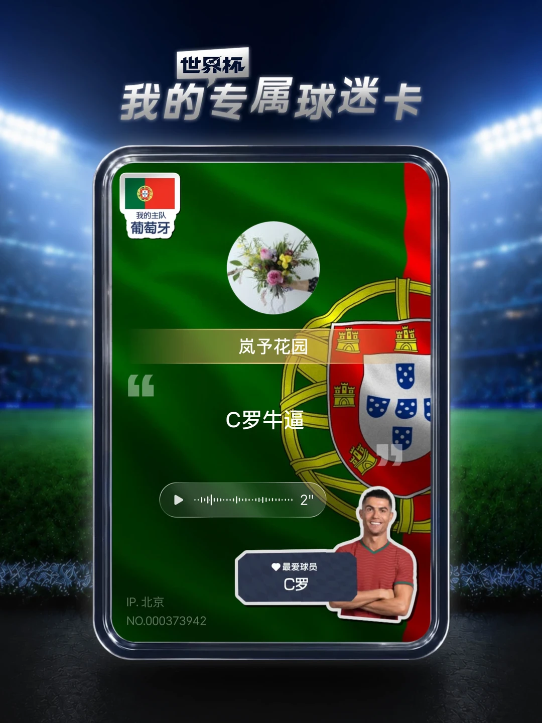 世界杯球迷卡 边看边聊世界杯