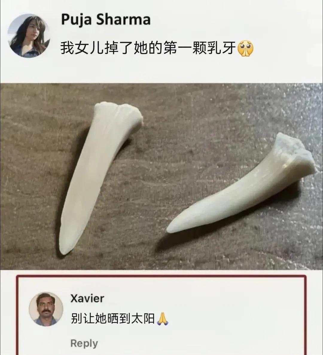 人类迷惑发言行为大赏
搞笑 图 迷惑行为大赏 搞笑图文 人类迷惑发言 人类的迷惑
