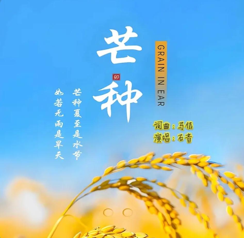 歌曲《芒种》热门话题 芒种 节气 @抖音热歌