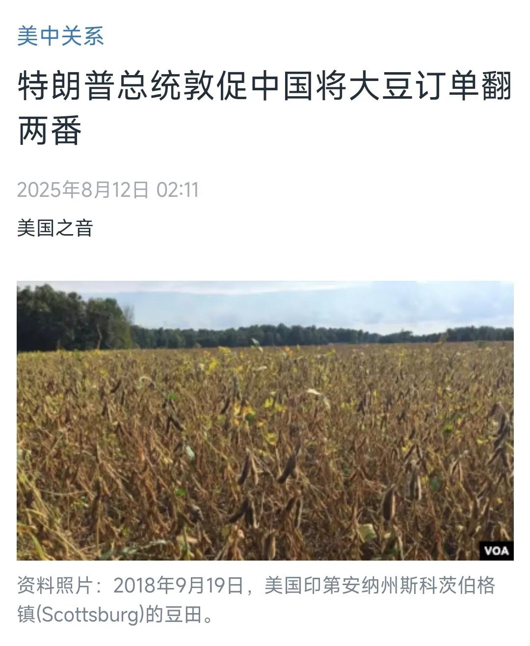 美国总统特朗普在8月10日深夜通过社交媒体向中国喊话，要求中方“迅速将美国大豆订